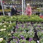 Gardening basics: How to start a garden in Colorado during coronavirus