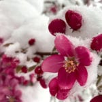 Colorado snow totals for April 12-13, 2020