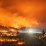 Blazes in Colorado, California may be part of a climate-driven transformation of wildfires around the globe
