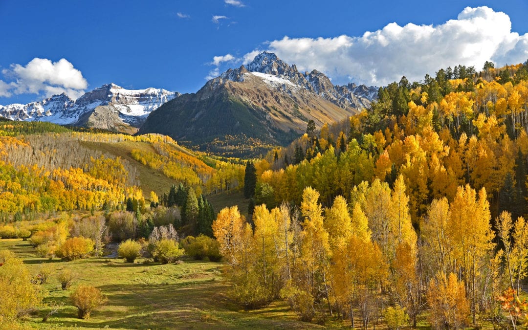 Colorful Colorado: Fall foliage pops up across state; see photos