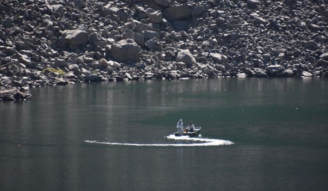 Kill fish to save fish: Behind Colorado’s effort to save the Rio Grande cutthroat trout