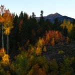 Colorado’s leaf-peeping season is just around the corner. Here’s when fall colors are expected to arrive.