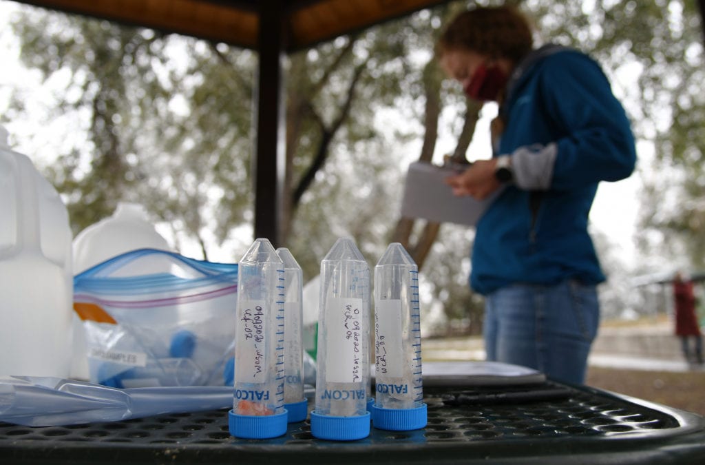 Colorado testing fish for PFAS in new push to prevent harm from “forever chemicals”