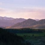 Colorado Gov.’s Cannabis Go-Around Could Come-Around Big Time - The Fresh Toast