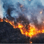 California And Colorado: Climate-Driven Transformation Of Wildfires - PopularResistance.Org