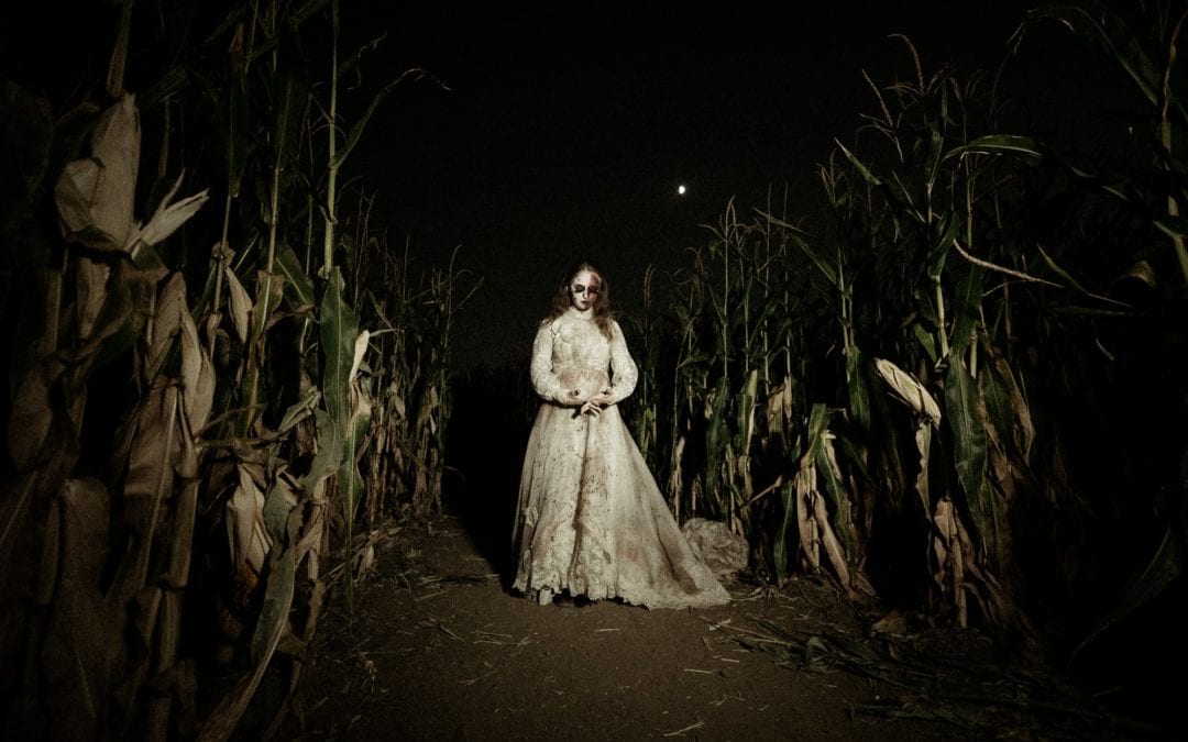 This Terrifying Corn Maze In Colorado Is Located Along One Of The Most Haunted Roads In America