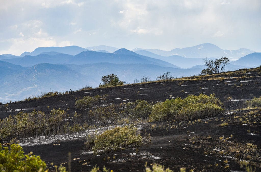 Fox News Plays Johnny Cash’s ‘Ring of Fire’ During Report on Colorado Wildfire