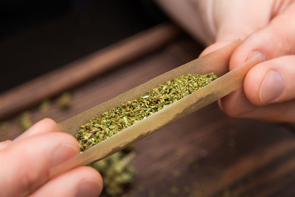 Colorado Governor Pardons 2,732 People With Cannabis Possession Convictions