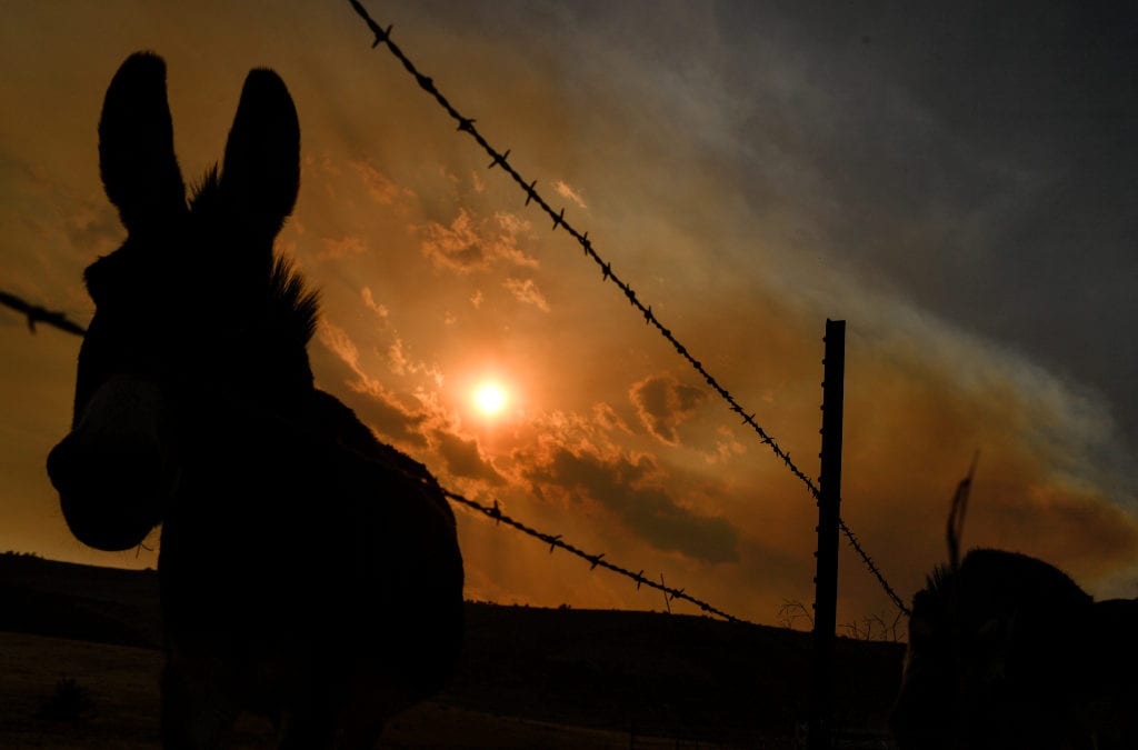 Colorado Wildfires update: Cameron Peak fire now 92% contained