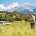Colorado whiskeys look to Colorado family farms for inspiration, ingredients