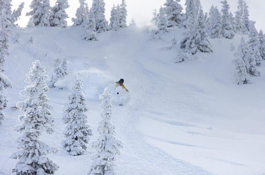 First to open in Colorado for the season, Wolf Creek is now up to 1,520 acres of terrain