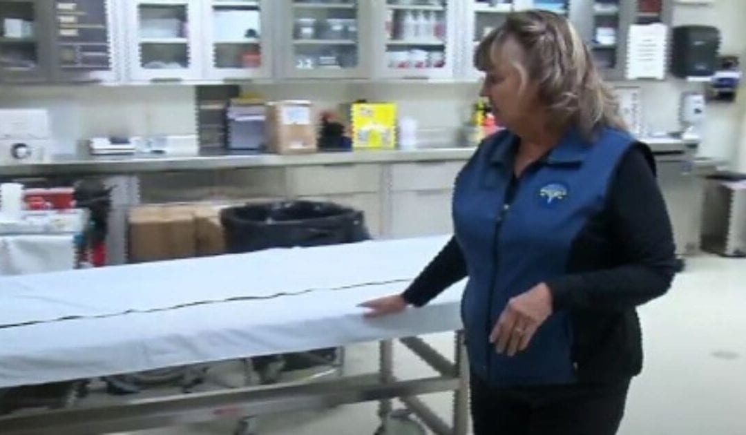 Colorado coroner expresses shock over ‘inflated’ COVID death tallies, including bodies with gunshots