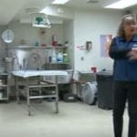 Colorado: Grand County Coroner Reveals Cause-of-Death Officially Attributed to COVID Was Really Gunshot Wounds in 2 Cases