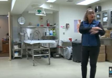 Colorado: Grand County Coroner Reveals Cause-of-Death Officially Attributed to COVID Was Really Gunshot Wounds in 2 Cases