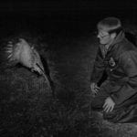 From discovery to decline: A scientist’s long fight for one of Colorado’s rarest birds