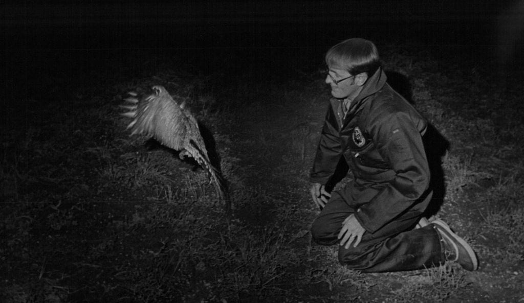 From discovery to decline: A scientist’s long fight for one of Colorado’s rarest birds