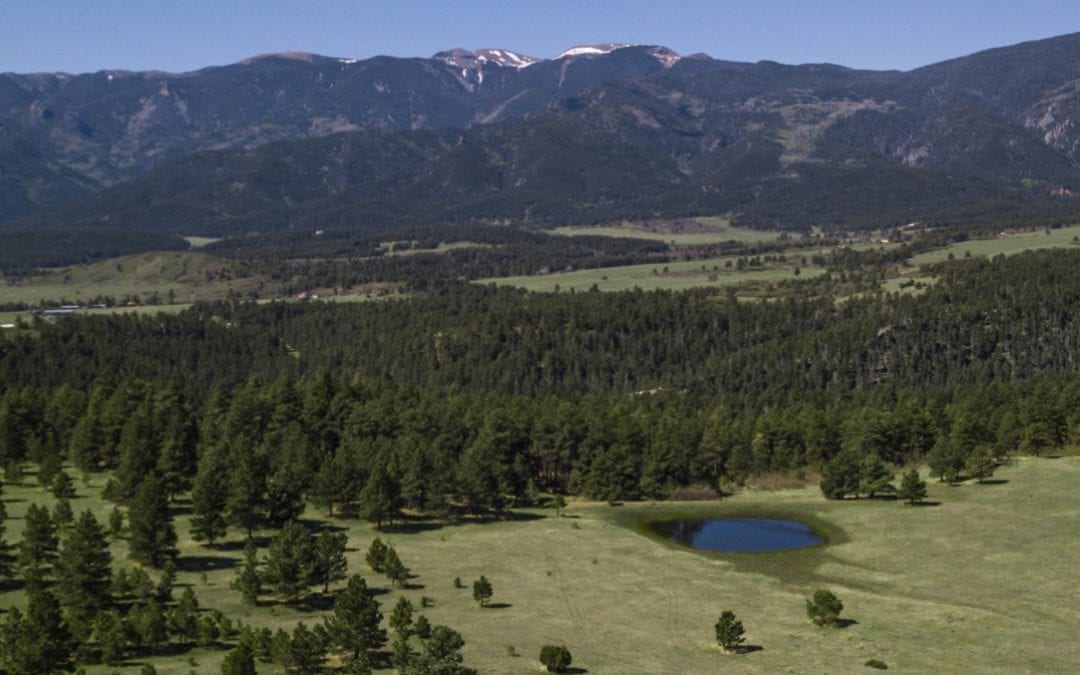 Strawberry Ridge Ranch Colorado Land For Sale Fay Ranches