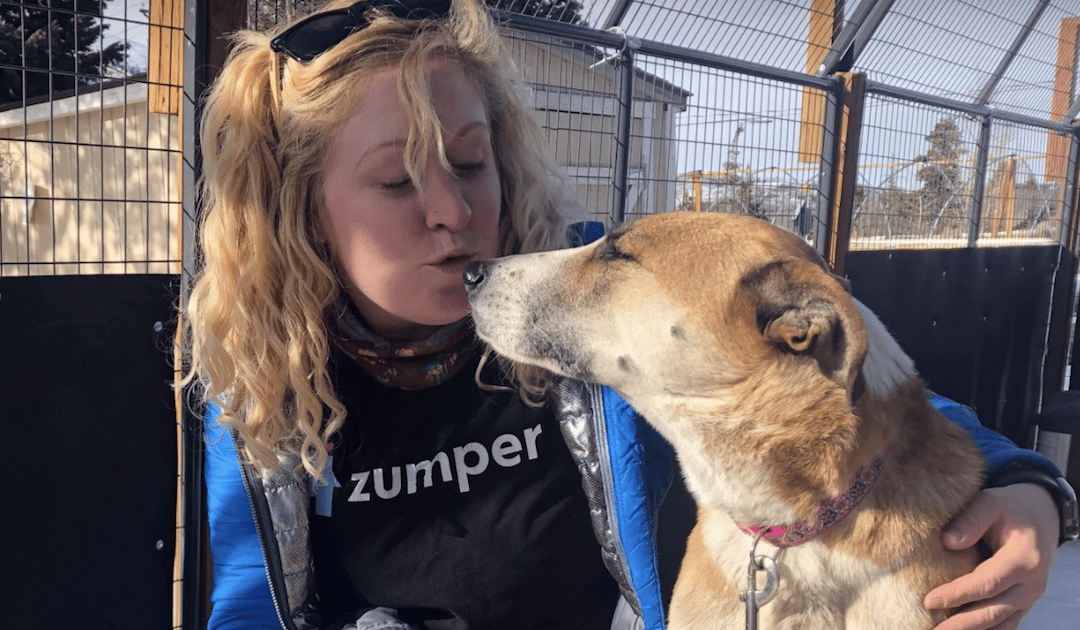 California Dog Survives 27 Days In The Colorado Cold After Escaping From Pet Sitter