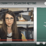 Lauren-Boebert-guns-screenshot-1024×569.png