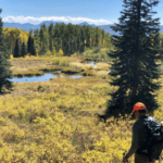 Hunters and Anglers Cheer Reintroduction of Colorado Public Lands Legislation | Theodore Roosevelt Conservation Partnership