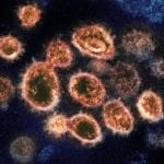 New University of Colorado study finds COVID 'super carriers' are responsible for bulk of infections