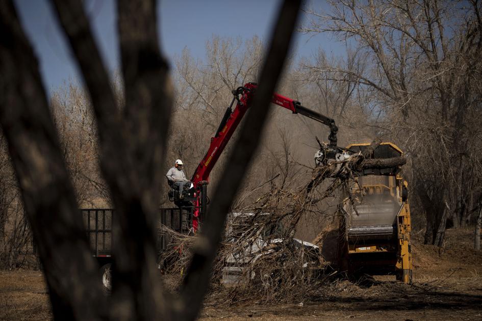 Colorado Springs plans wetland restoration along south Academy Boulevard