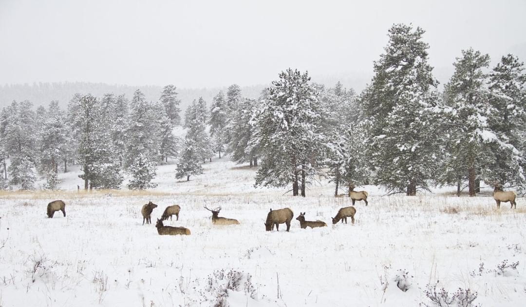5 things to know about the major upcoming snowstorm in Colorado | OutThere Colorado