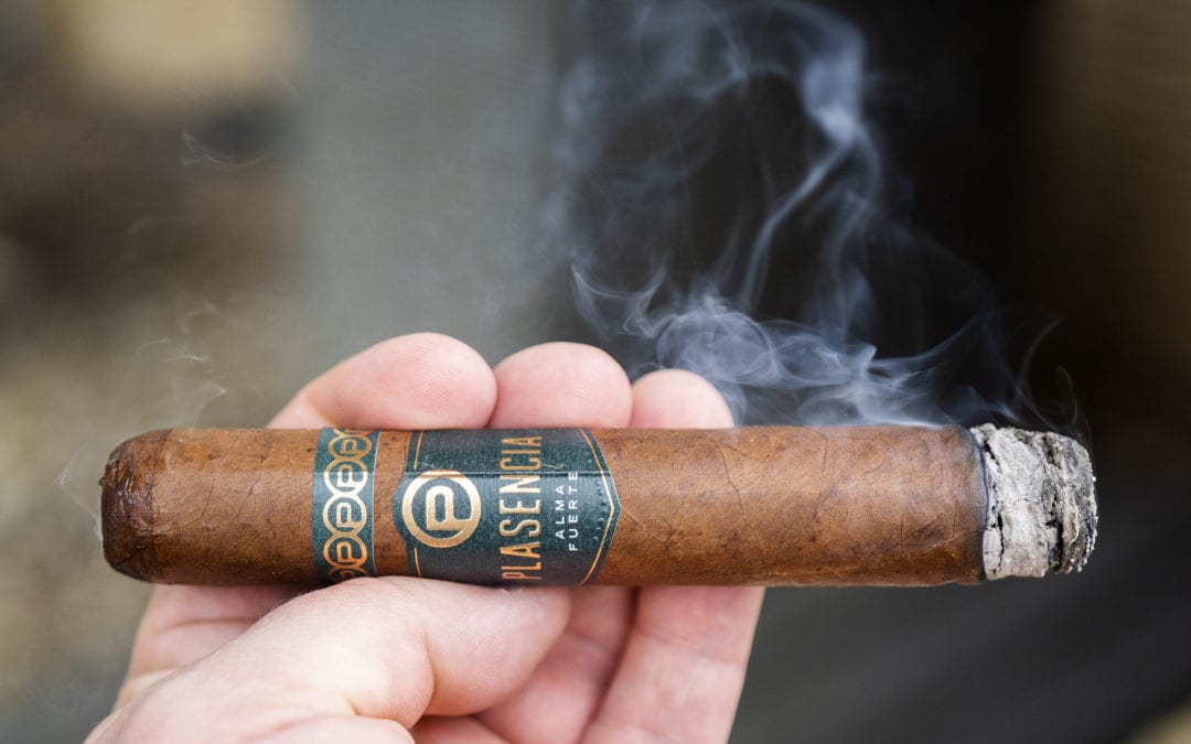 Plasencia Alma Fuerte Sixto I Hexagon Colorado Claro – halfwheel