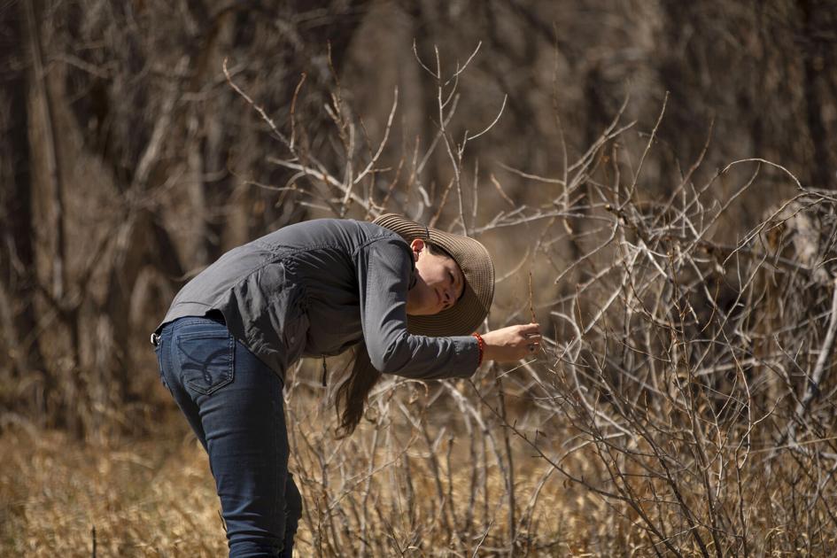 Colorado Springs woman wants to help you connect with nature yourself via forest therapy