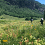 Colorado BHA Q2 2021 Update - Backcountry Hunters and Anglers