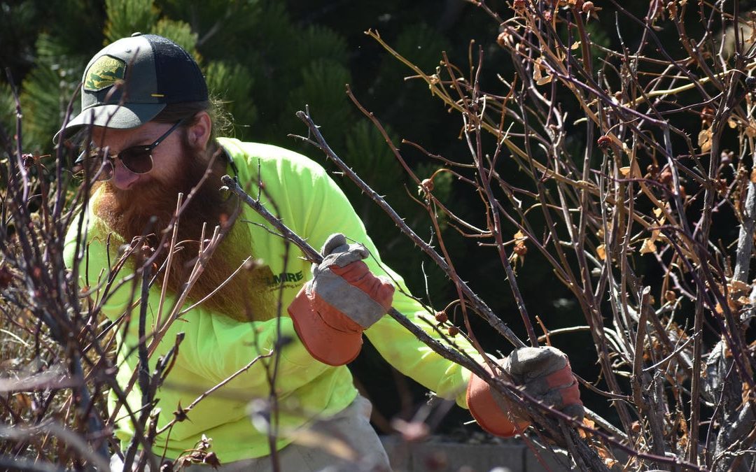 Spring lawn, garden and sprinkler system tips: What to do now, later in Colorado