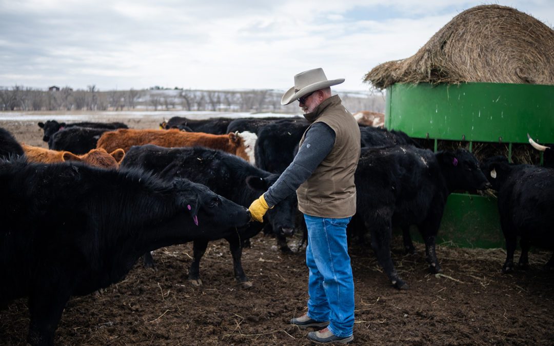 Riding Herd on Mental Health in Colorado Ranching Country