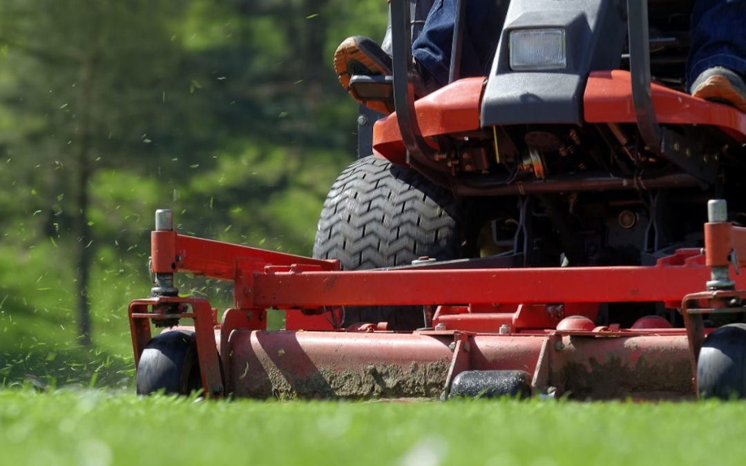 Cutting edge: Colorado company introduces grass mowing robot – WDBO