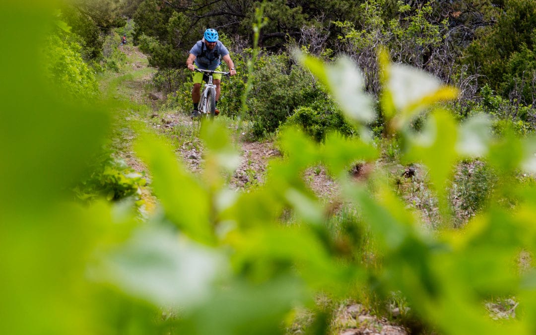 National Ski Patrol, Colorado Mountain College will get “refresh” from former GOCO leader