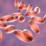A 10-year-old girl has died from the plague in Colorado, officials confirm - Breaking911