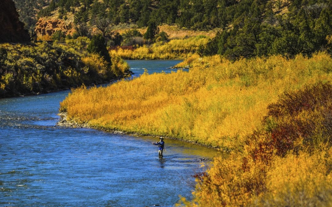 Drought, heat, fire force fishing ban on Colorado River