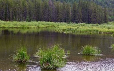 Environmental groups formally threaten lawsuit over reservoir eyed by Colorado Springs, Aurora