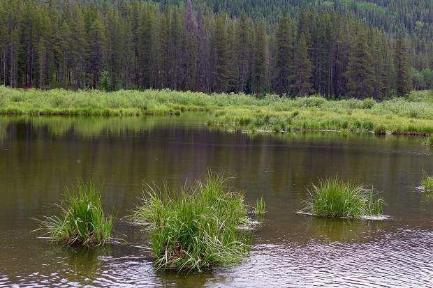 Environmental groups formally threaten lawsuit over reservoir eyed by Colorado Springs, Aurora