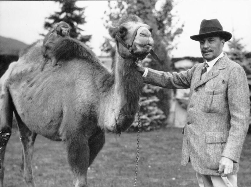 Colorado Springs at 150 years | The Broadmoor, the grande dame of the Rockies