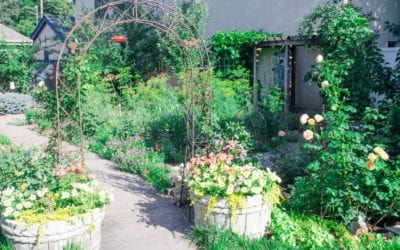 Year-round gardening: Colorado Springs Garden Tour to offer tips, history