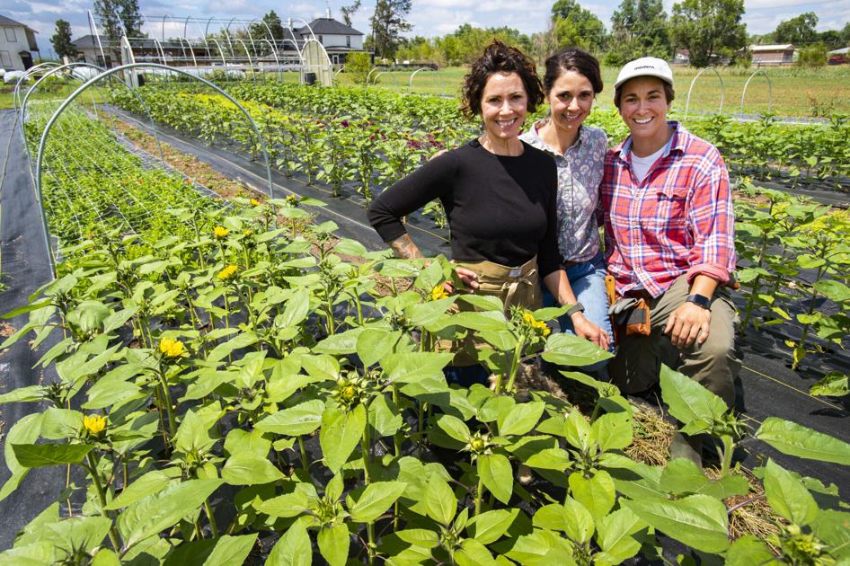 Three sisters open flower farm on historic Venetucci property in Colorado Springs