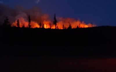 ‘Extreme’ behavior of Colorado wildfire prompts forest closures | OutThere Colorado