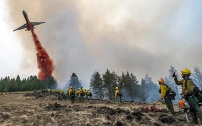 Wildfires torch homes, land across 10 states in US West | OutThere Colorado