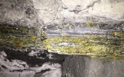 Western Uranium to restart Sunday mine complex in Colorado