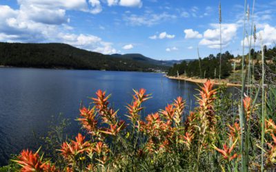 Colorado weather: July ending with near record heat across the state