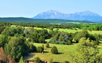 Bear Creek Ranch | Walsenburg Colorado | Fay Ranches