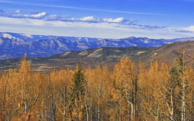 TRCP Responds to Forest Service Draft Plan for 3.2 Million Acres in Colorado | Theodore Roosevelt Conservation Partnership