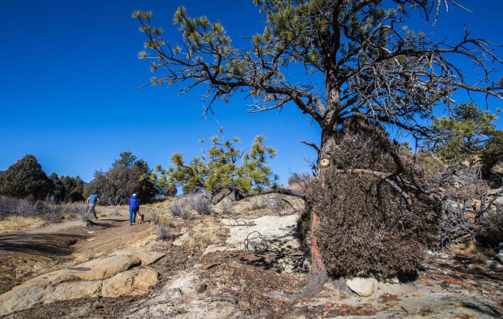 Equity and inclusion in the outdoors discussed in Colorado Springs