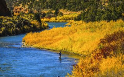 State water task force says monsoons coming, drought lessening in southwest Colorado