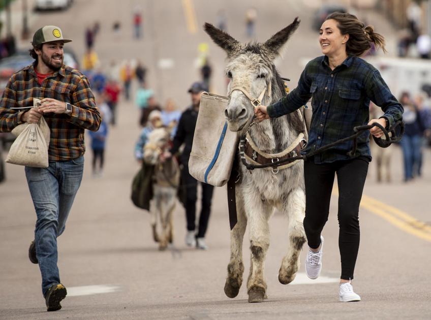 Donkey Derby Days returns to Cripple Creek | OutThere Colorado